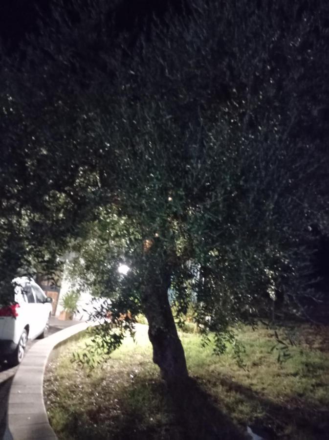 فيلا Il Corbezzolo ماتيرا المظهر الخارجي الصورة