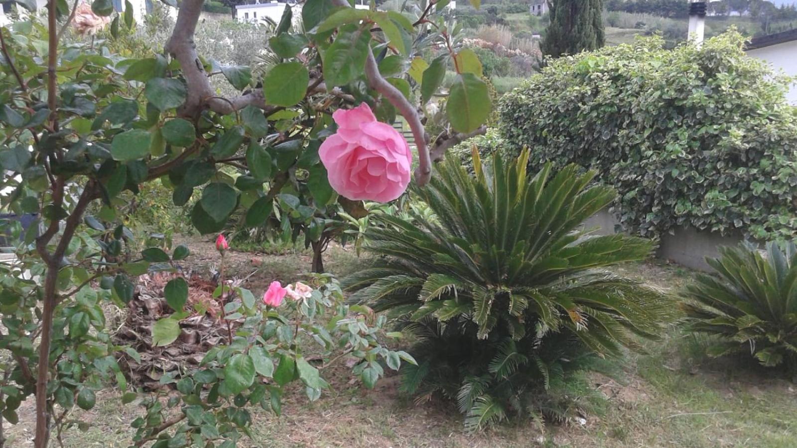 فيلا Il Corbezzolo ماتيرا المظهر الخارجي الصورة